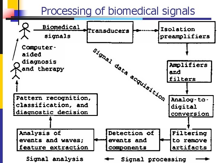 Processing of biomedical signals 