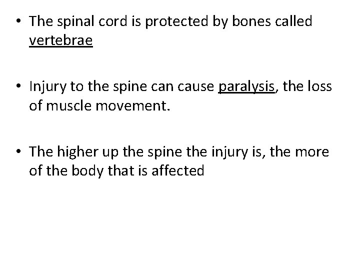  • The spinal cord is protected by bones called vertebrae • Injury to