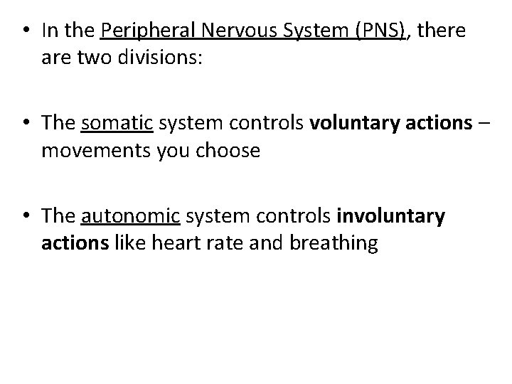  • In the Peripheral Nervous System (PNS), there are two divisions: • The