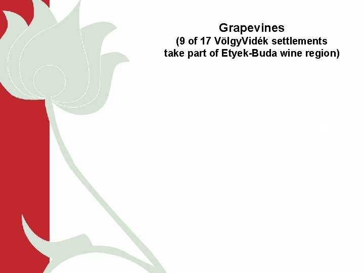 Grapevines (9 of 17 Völgy. Vidék settlements take part of Etyek-Buda wine region) 