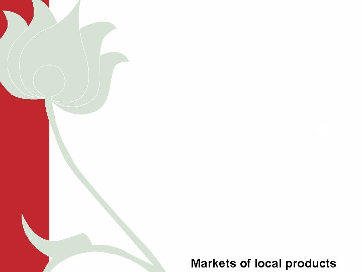 Markets of local products 