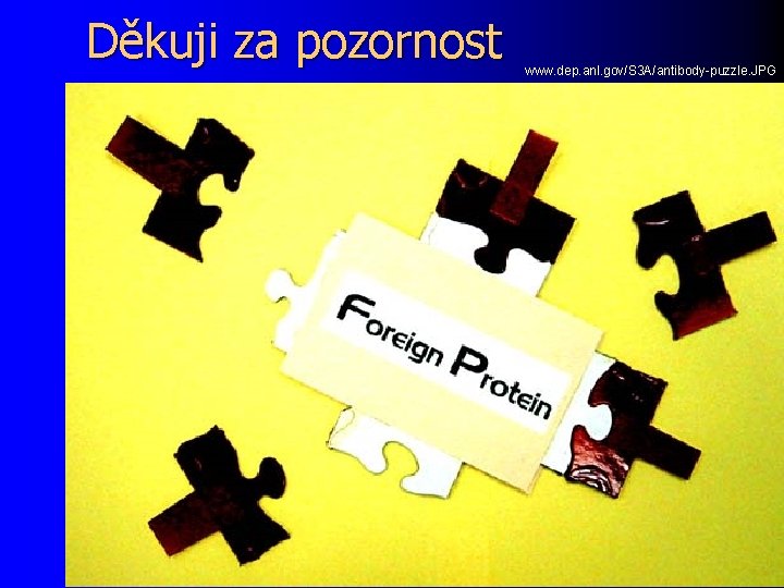 Děkuji za pozornost www. dep. anl. gov/S 3 A/antibody-puzzle. JPG 