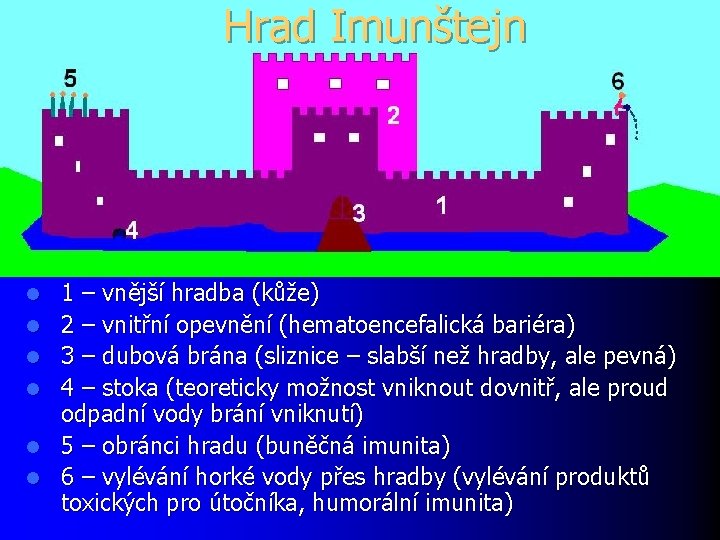 Hrad Imunštejn l l l 1 – vnější hradba (kůže) 2 – vnitřní opevnění