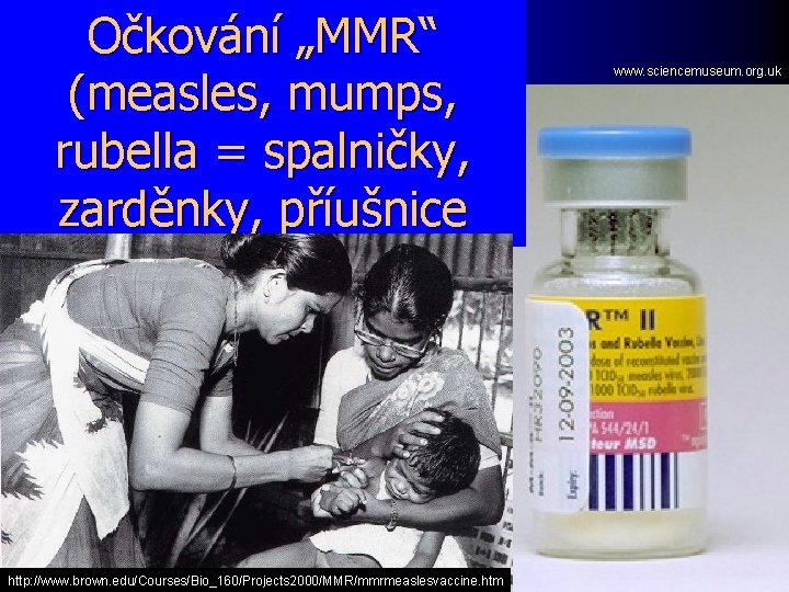 Očkování „MMR“ (measles, mumps, rubella = spalničky, zarděnky, příušnice http: //www. brown. edu/Courses/Bio_160/Projects 2000/MMR/mmrmeaslesvaccine.