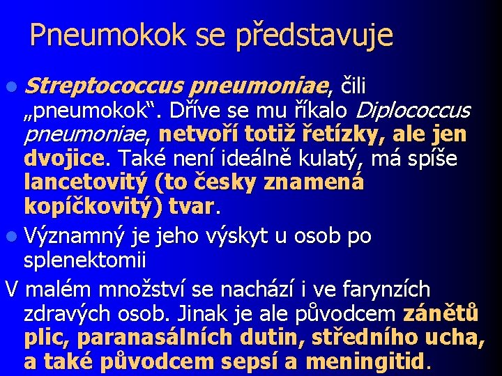 Pneumokok se představuje l Streptococcus pneumoniae, čili „pneumokok“. Dříve se mu říkalo Diplococcus pneumoniae,