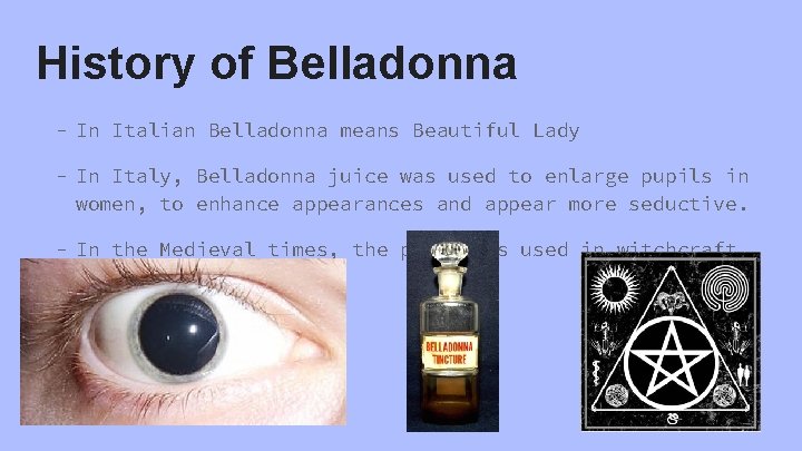 History of Belladonna - In Italian Belladonna means Beautiful Lady - In Italy, Belladonna