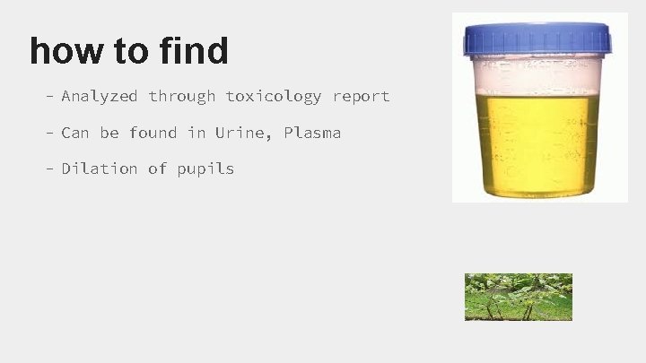 how to find - Analyzed through toxicology report - Can be found in Urine,