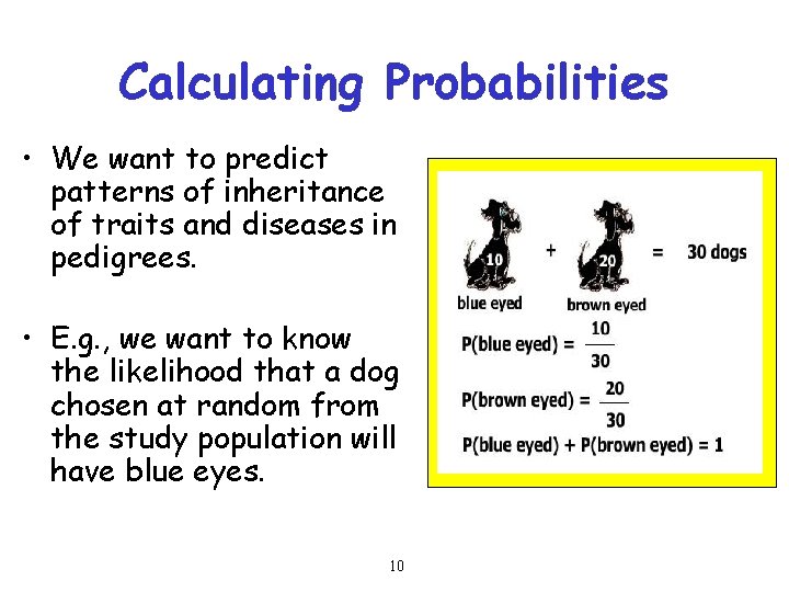 Calculating Probabilities • We want to predict patterns of inheritance of traits and diseases