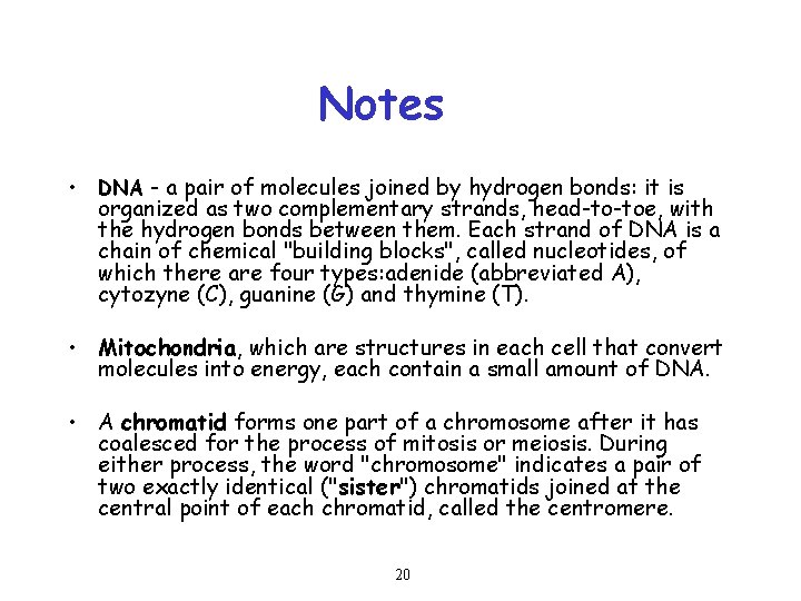Notes • DNA - a pair of molecules joined by hydrogen bonds: it is