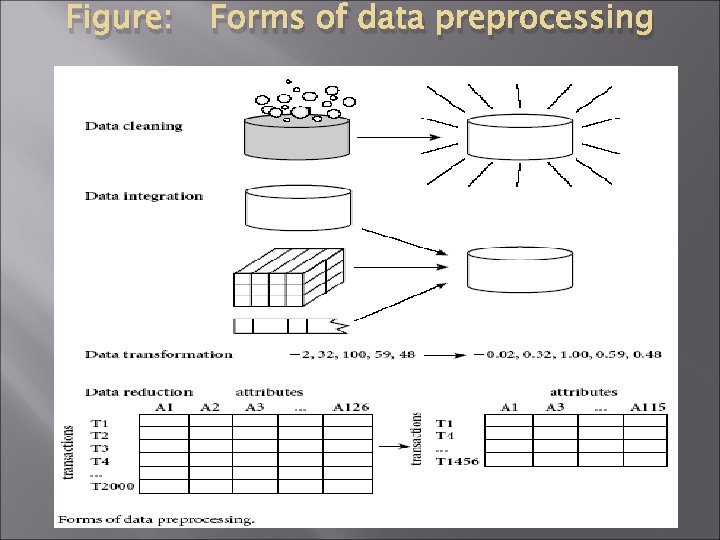 Figure: Forms of data preprocessing 
