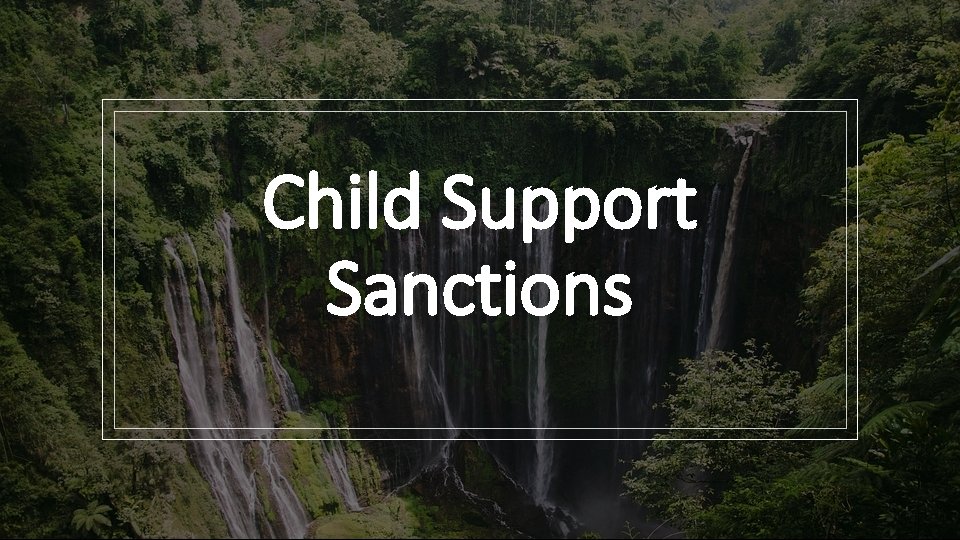 Child Support Sanctions 