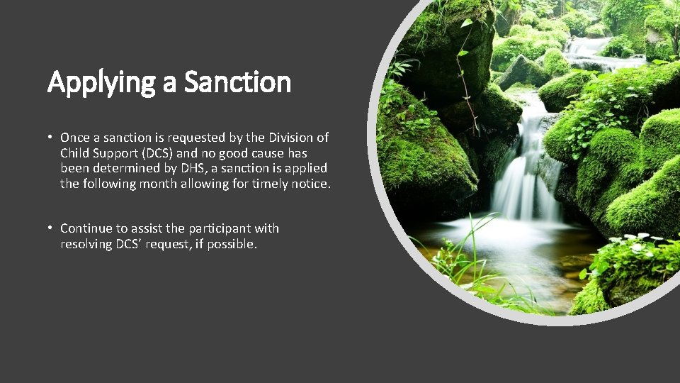 Applying a Sanction • Once a sanction is requested by the Division of Child