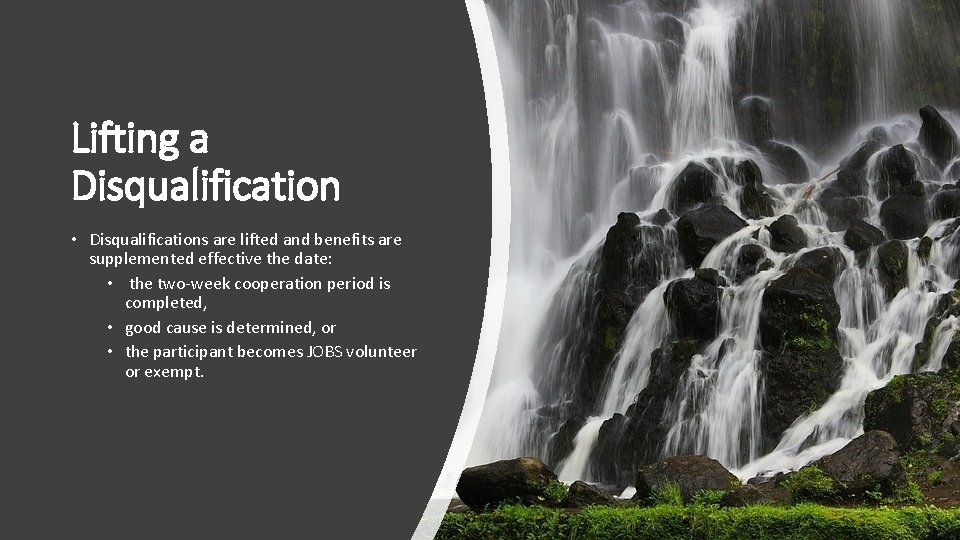 Lifting a Disqualification • Disqualifications are lifted and benefits are supplemented effective the date: