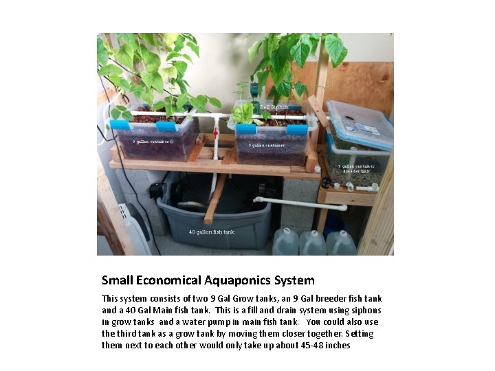 Small Economical Aquaponics System This system consists of two 9 Gal Grow tanks, an