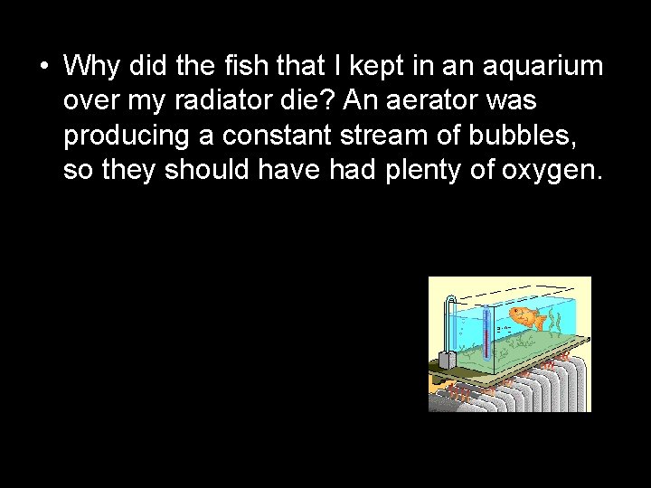 • Why did the fish that I kept in an aquarium over my