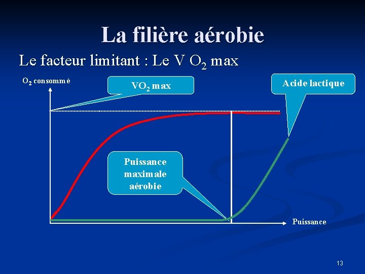 La filière aérobie Le facteur limitant : Le V O 2 max O 2