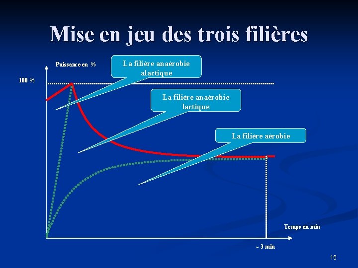 Mise en jeu des trois filières Puissance en % La filière anaérobie alactique 100