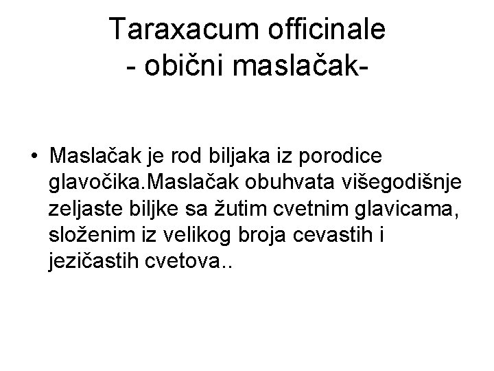 Taraxacum officinale - obični maslačak • Maslačak je rod biljaka iz porodice glavočika. Maslačak