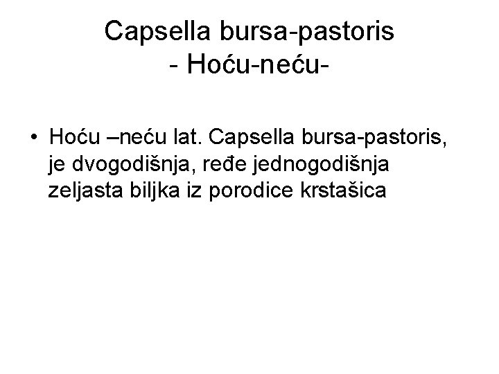 Capsella bursa-pastoris - Hoću-neću • Hoću –neću lat. Capsella bursa-pastoris, je dvogodišnja, ređe jednogodišnja