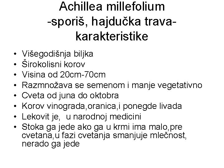 Achillea millefolium -sporiš, hajdučka travakarakteristike • • Višegodišnja biljka Širokolisni korov Visina od 20