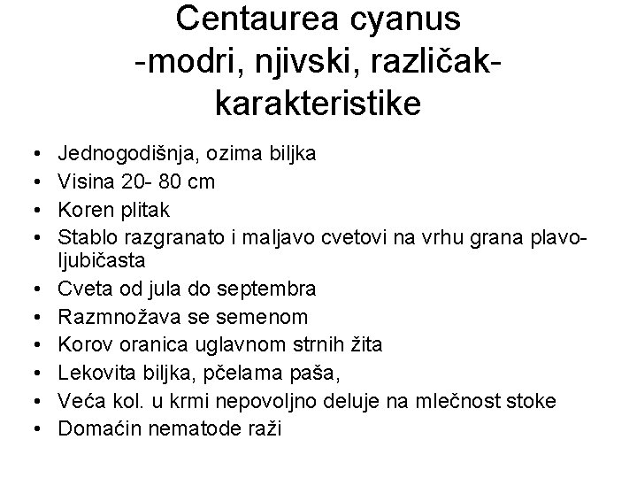 Centaurea cyanus -modri, njivski, različakkarakteristike • • • Jednogodišnja, ozima biljka Visina 20 -