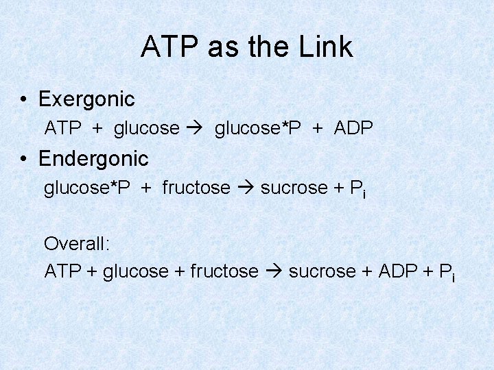 ATP as the Link • Exergonic ATP + glucose*P + ADP • Endergonic glucose*P