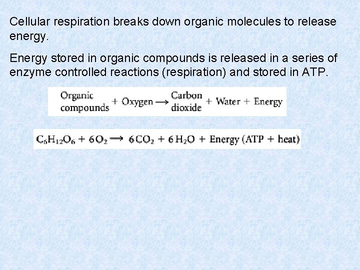 Cellular respiration breaks down organic molecules to release energy. Energy stored in organic compounds