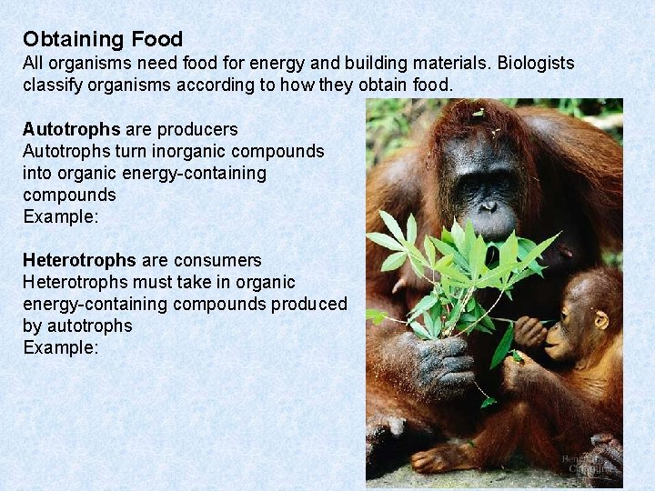 Obtaining Food All organisms need food for energy and building materials. Biologists classify organisms