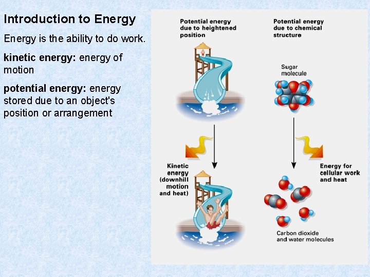 Introduction to Energy is the ability to do work. kinetic energy: energy of motion