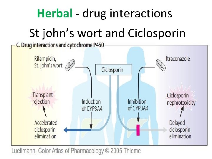 Herbal - drug interactions St john’s wort and Ciclosporin 