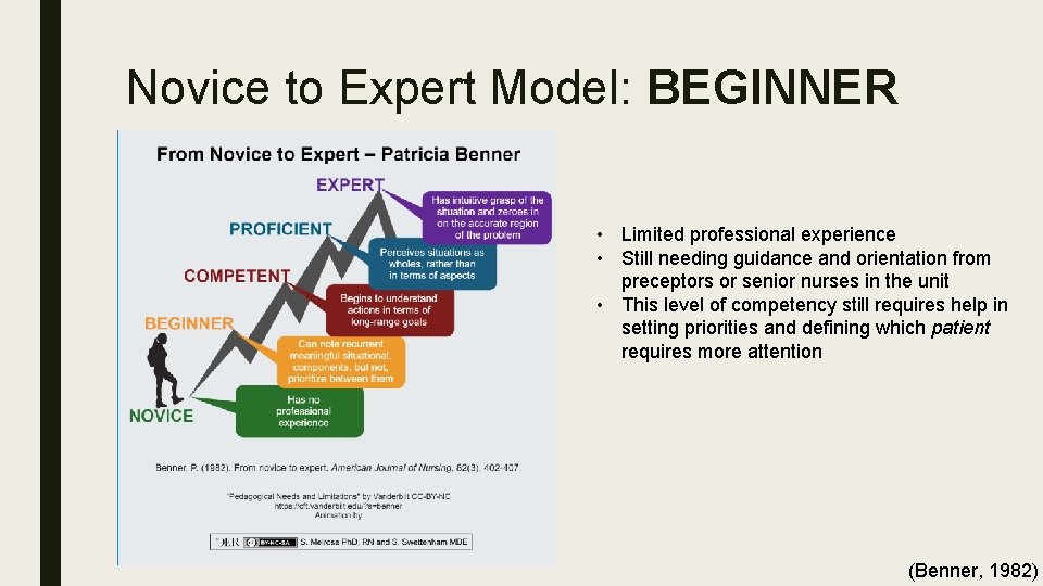 Novice to Expert Model: BEGINNER • Limited professional experience • Still needing guidance and