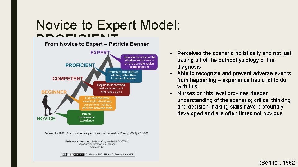 Novice to Expert Model: PROFICIENT • Perceives the scenario holistically and not just basing
