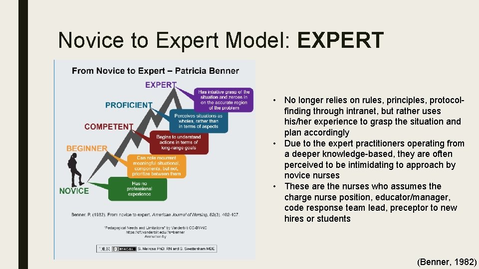 Novice to Expert Model: EXPERT • No longer relies on rules, principles, protocolfinding through
