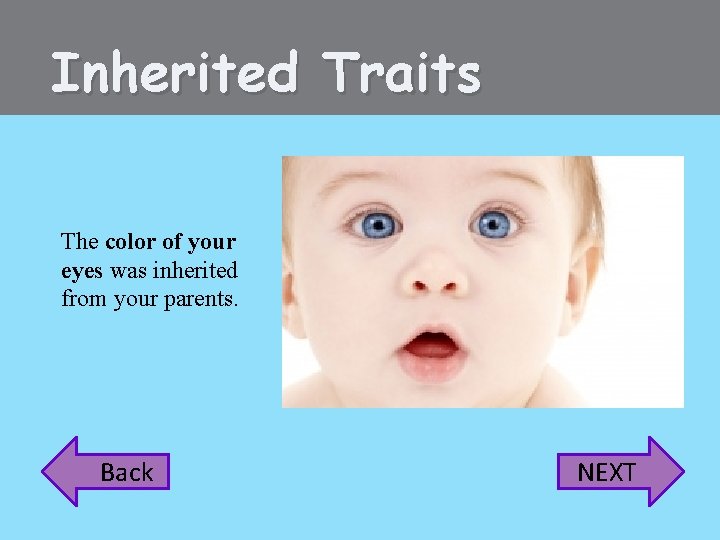 Inherited Traits The color of your eyes was inherited from your parents. Back NEXT