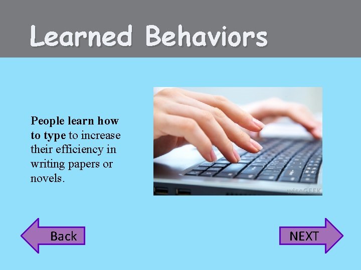 Learned Behaviors People learn how to type to increase their efficiency in writing papers