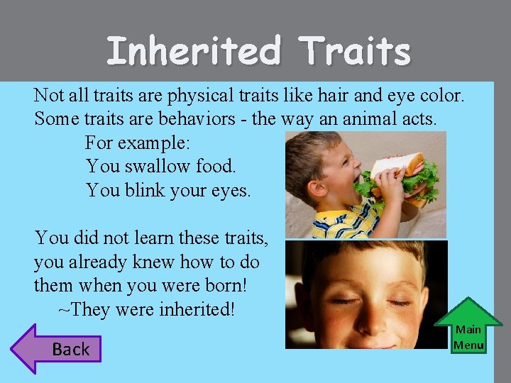 Inherited Traits Not all traits are physical traits like hair and eye color. Some