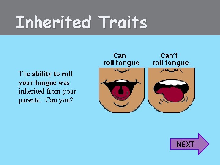 Inherited Traits The ability to roll your tongue was inherited from your parents. Can
