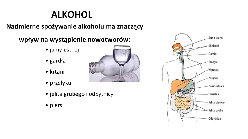 ALKOHOL Nadmierne spożywanie alkoholu ma znaczący wpływ na wystąpienie nowotworów: • jamy ustnej •