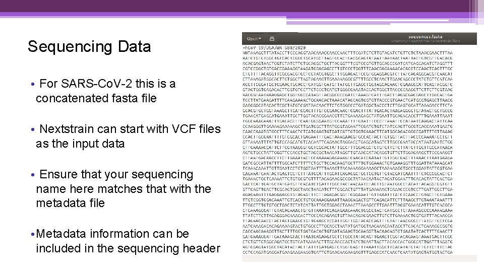 Sequencing Data • For SARS-Co. V-2 this is a concatenated fasta file • Nextstrain