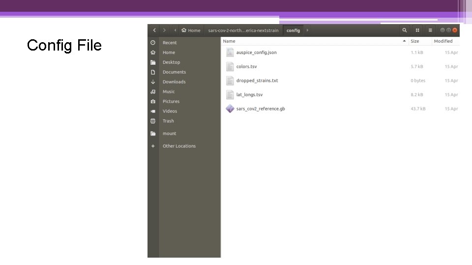 Config File 