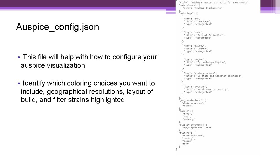 Auspice_config. json • This file will help with how to configure your auspice visualization