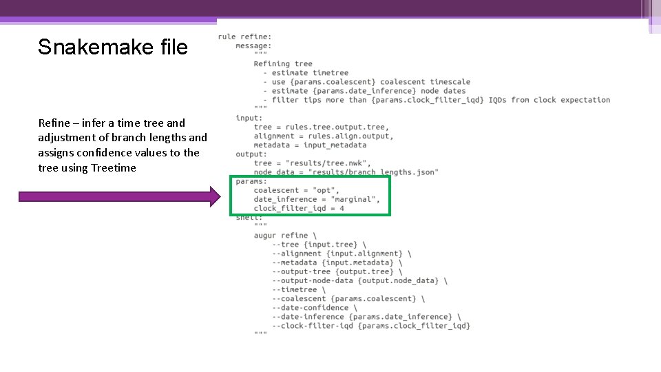Snakemake file Refine – infer a time tree and adjustment of branch lengths and