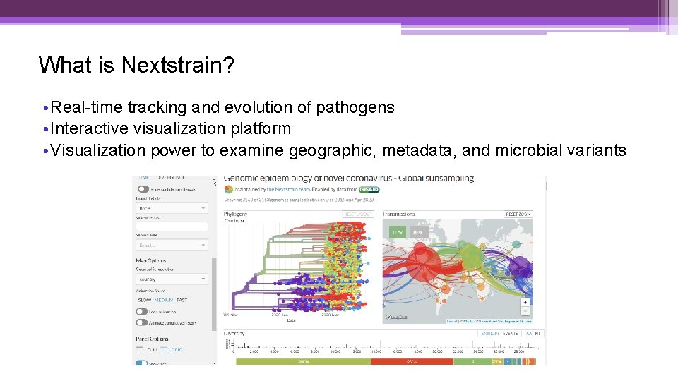 What is Nextstrain? • Real-time tracking and evolution of pathogens • Interactive visualization platform