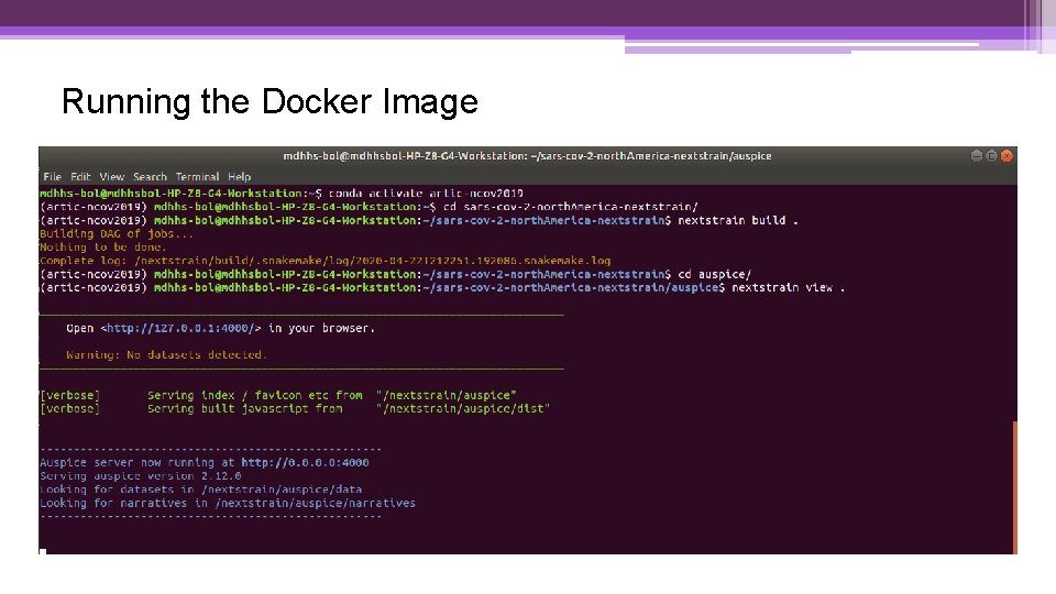 Running the Docker Image 