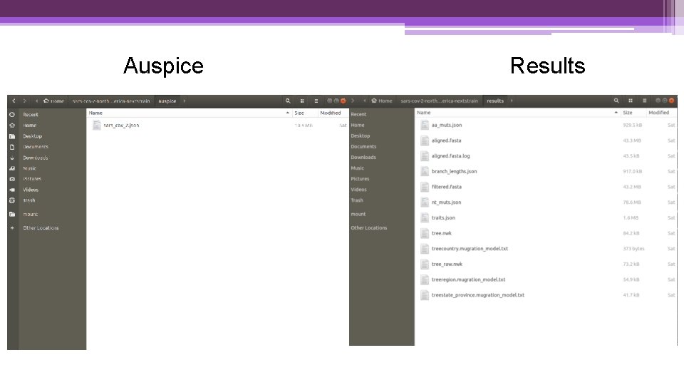 Auspice Results 