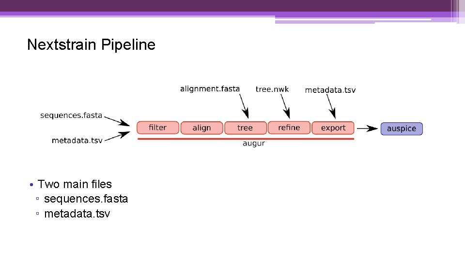 Nextstrain Pipeline • Two main files ▫ sequences. fasta ▫ metadata. tsv 