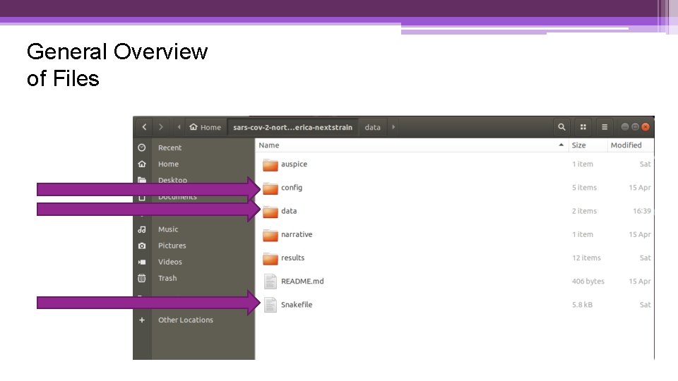General Overview of Files 