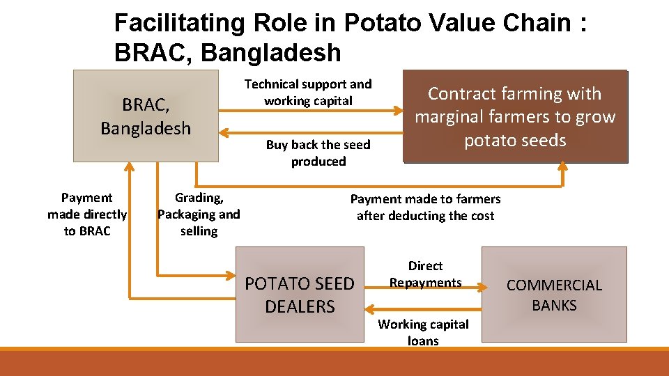 Facilitating Role in Potato Value Chain : BRAC, Bangladesh Payment made directly to BRAC