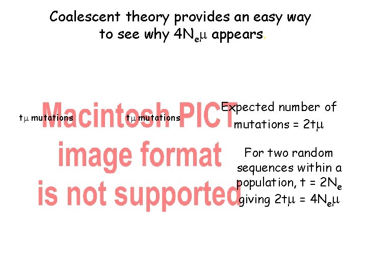 Coalescent theory provides an easy way to see why 4 Nem appears. tm mutations