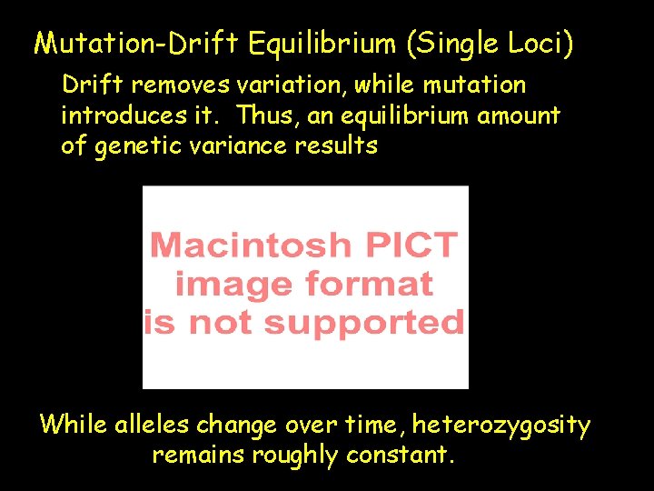 Mutation-Drift Equilibrium (Single Loci) Drift removes variation, while mutation introduces it. Thus, an equilibrium